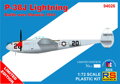 94026 P-38J 2LT David R. Miles "Battle over Moravia"